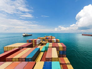 中国 新西兰 自贸协定 国际贸易
